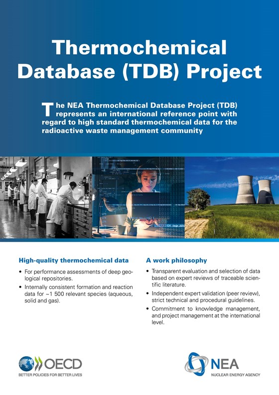 Download the TDB Project flyer