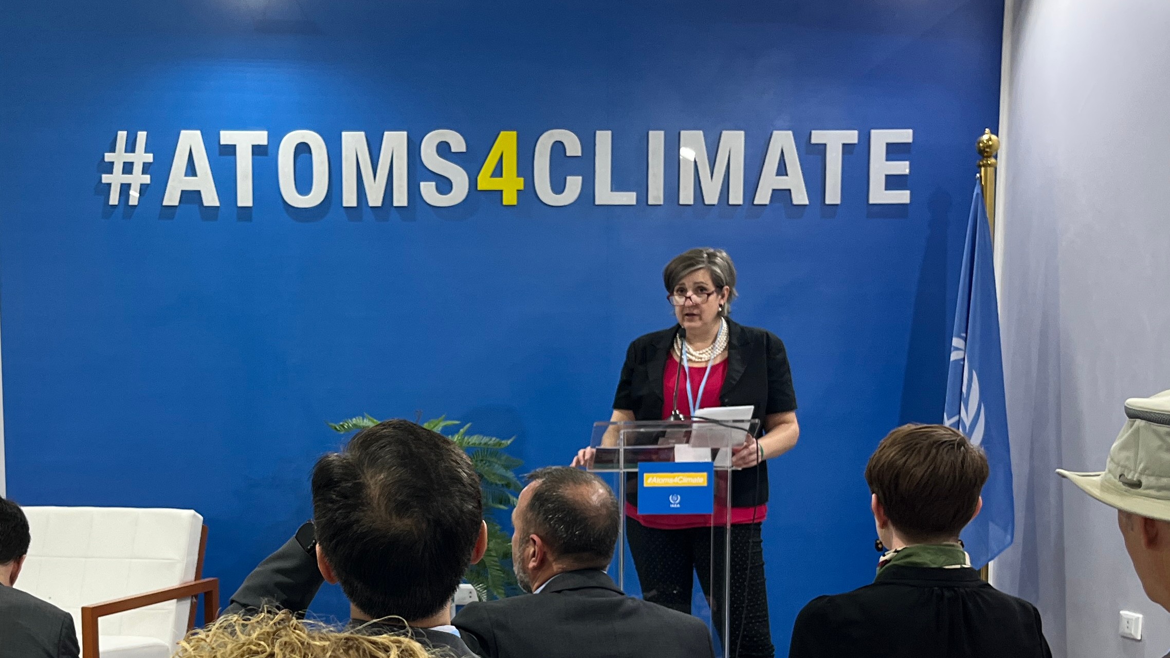 Diane Cameron, Head of NTE Division at NEA (COP27)